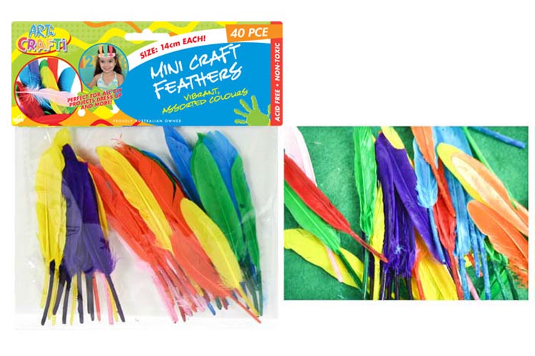 14cm Long Mini Feathers Asst Cols Pk40