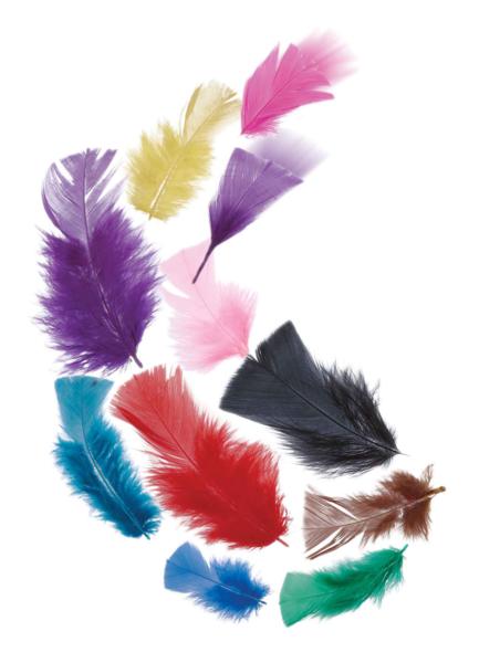 Fluffy Tropical Feathers 20gm EC