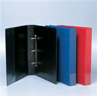 Binder PVC A3 3D Ring - Black